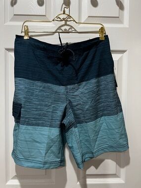 George Board Swim Trunk Shorts Striped Blue with Liner Size Medium (32/34)